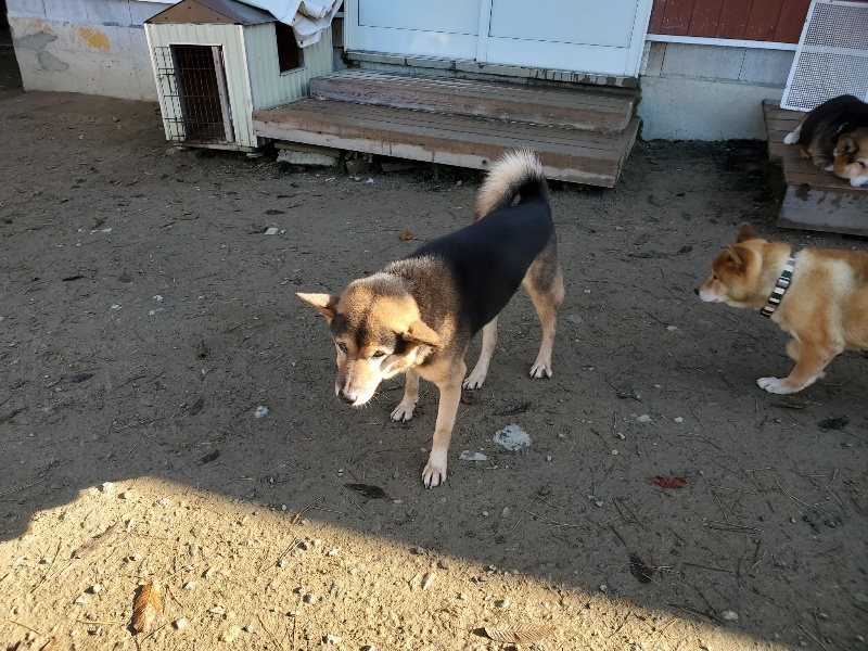 f:id:roukenhome-ann:20191129184317j:plain f:id:roukenhome-ann:20191129184317j:plain