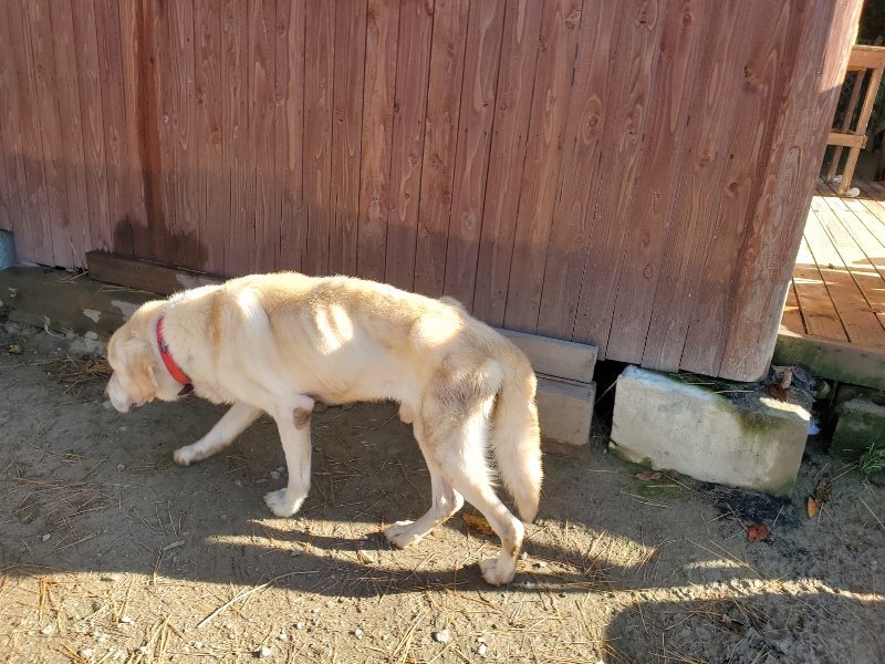 f:id:roukenhome-ann:20191129184436j:plain f:id:roukenhome-ann:20191129184436j:plain