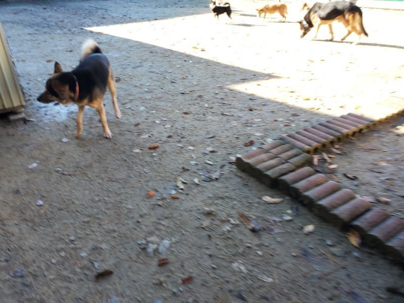 f:id:roukenhome-ann:20191129184739j:plain f:id:roukenhome-ann:20191129184739j:plain