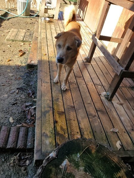f:id:roukenhome-ann:20191129184845j:plain f:id:roukenhome-ann:20191129184845j:plain