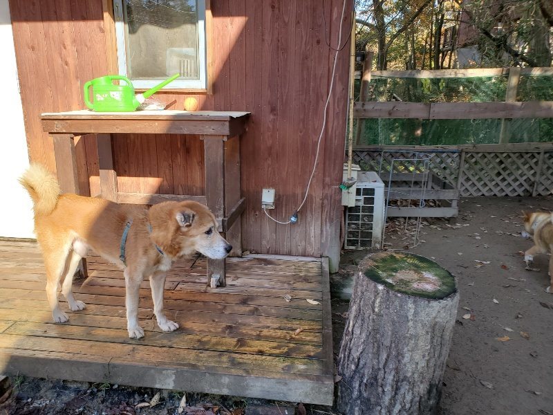 f:id:roukenhome-ann:20191129184908j:plain f:id:roukenhome-ann:20191129184908j:plain