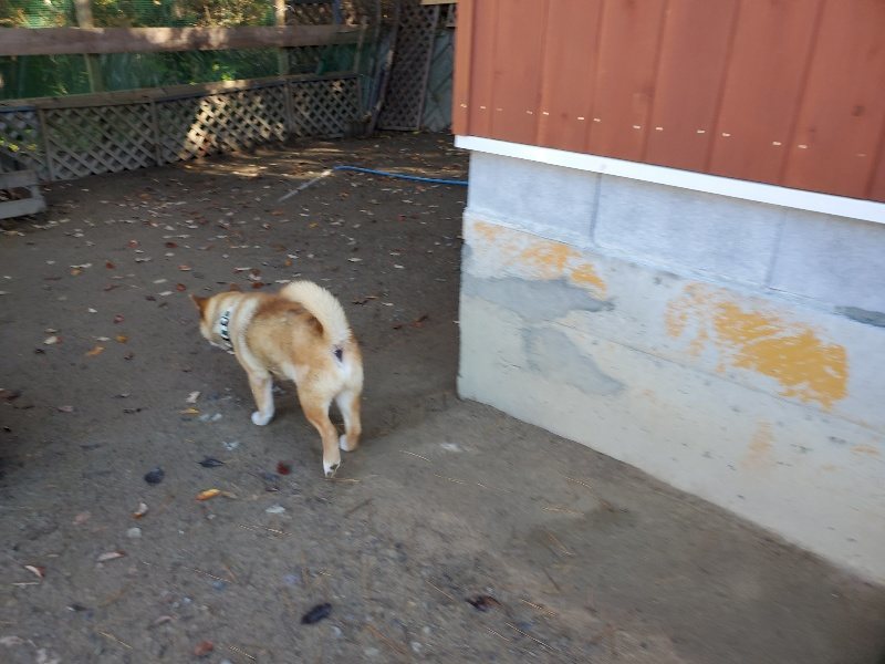 f:id:roukenhome-ann:20191129184955j:plain f:id:roukenhome-ann:20191129184955j:plain