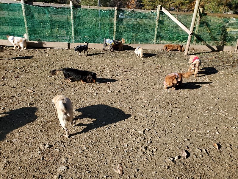 f:id:roukenhome-ann:20191129185101j:plain f:id:roukenhome-ann:20191129185101j:plain