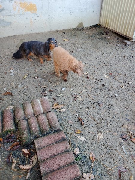 f:id:roukenhome-ann:20191129185108j:plain f:id:roukenhome-ann:20191129185108j:plain