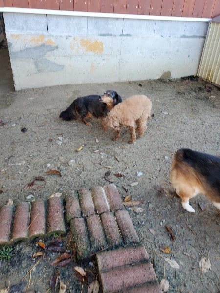 f:id:roukenhome-ann:20191129185115j:plain f:id:roukenhome-ann:20191129185115j:plain