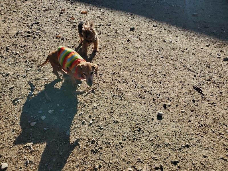 f:id:roukenhome-ann:20191129185240j:plain f:id:roukenhome-ann:20191129185240j:plain