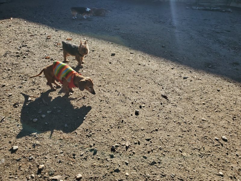 f:id:roukenhome-ann:20191129185305j:plain f:id:roukenhome-ann:20191129185305j:plain