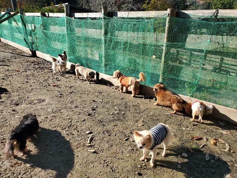 f:id:roukenhome-ann:20191129185417j:plain f:id:roukenhome-ann:20191129185417j:plain