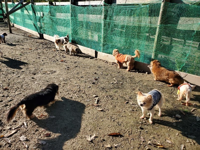 f:id:roukenhome-ann:20191129185433j:plain f:id:roukenhome-ann:20191129185433j:plain