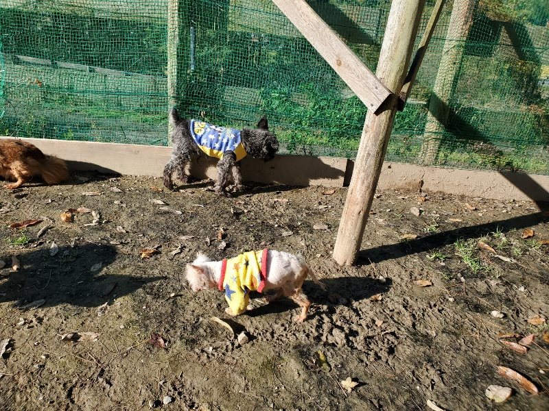 f:id:roukenhome-ann:20191129185523j:plain f:id:roukenhome-ann:20191129185523j:plain