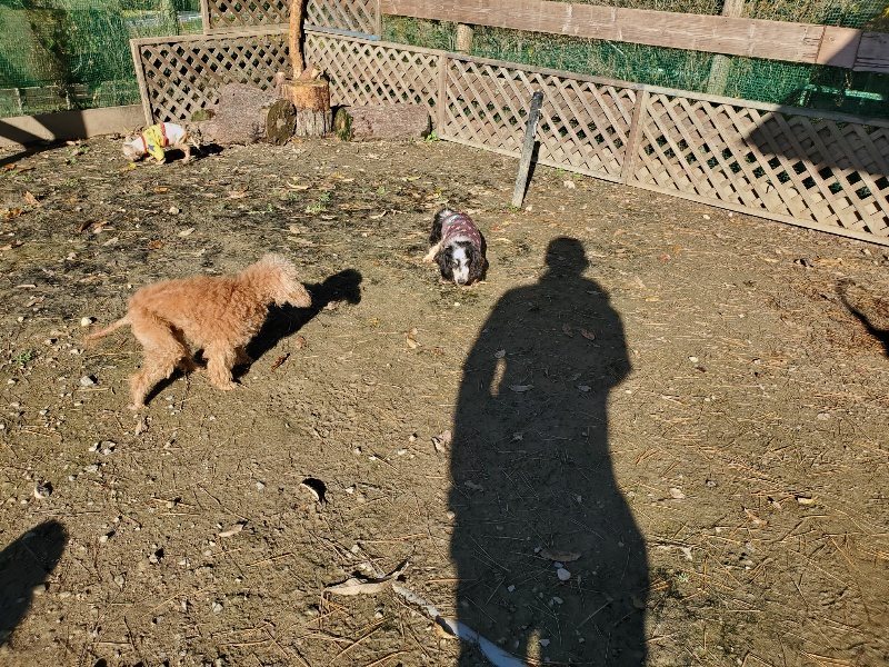 f:id:roukenhome-ann:20191129185608j:plain f:id:roukenhome-ann:20191129185608j:plain