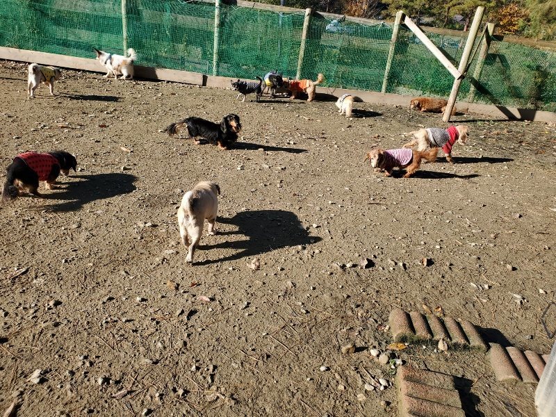 f:id:roukenhome-ann:20191129185629j:plain f:id:roukenhome-ann:20191129185629j:plain