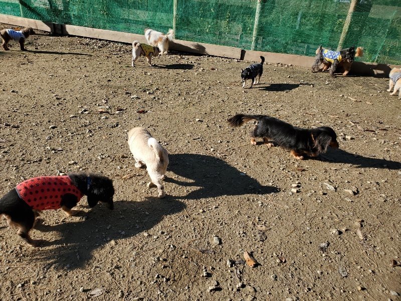 f:id:roukenhome-ann:20191129185645j:plain f:id:roukenhome-ann:20191129185645j:plain