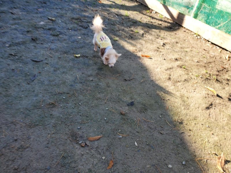 f:id:roukenhome-ann:20191129185802j:plain f:id:roukenhome-ann:20191129185802j:plain