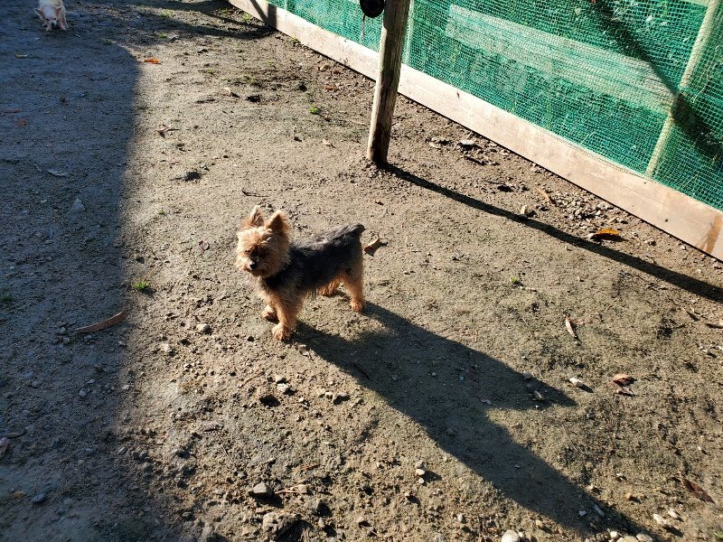 f:id:roukenhome-ann:20191129185833j:plain f:id:roukenhome-ann:20191129185833j:plain
