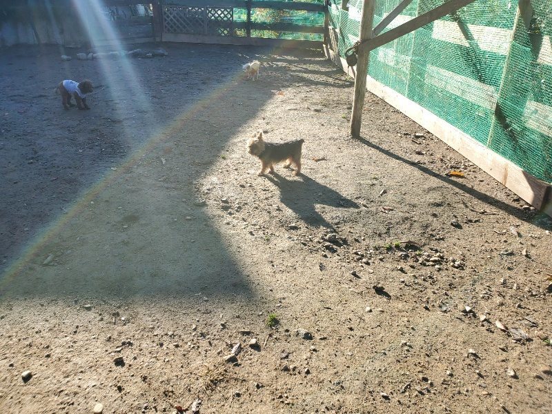 f:id:roukenhome-ann:20191129185849j:plain f:id:roukenhome-ann:20191129185849j:plain