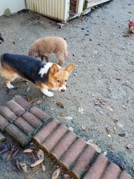 f:id:roukenhome-ann:20191129185900j:plain f:id:roukenhome-ann:20191129185900j:plain