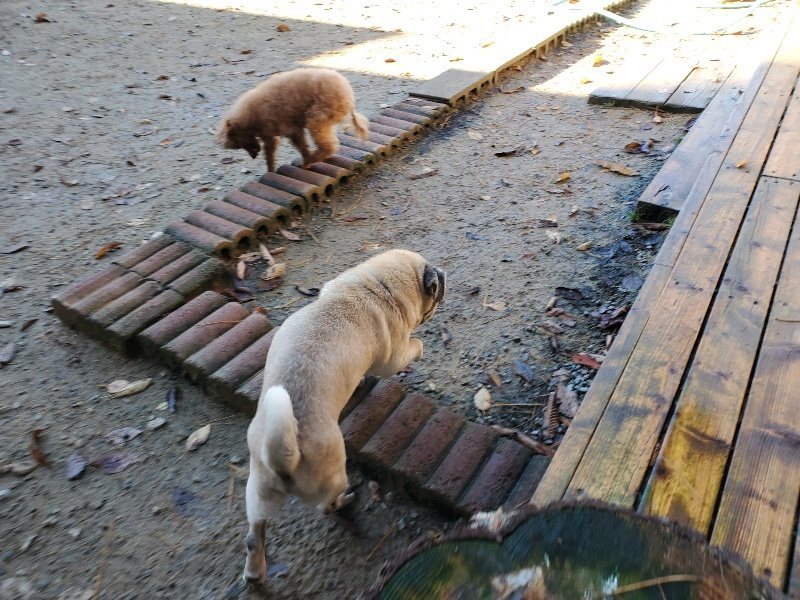 f:id:roukenhome-ann:20191129185920j:plain f:id:roukenhome-ann:20191129185920j:plain