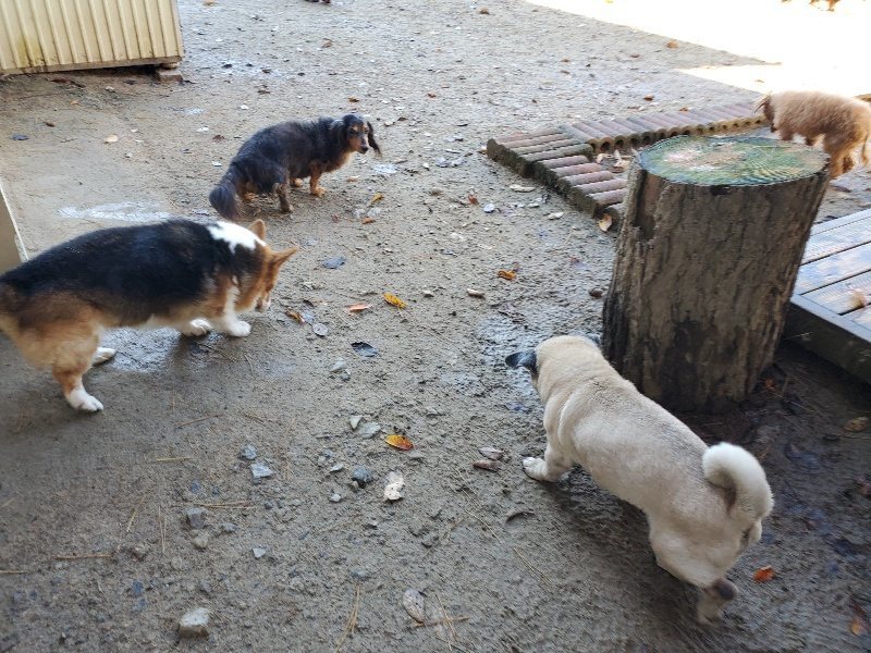 f:id:roukenhome-ann:20191129190006j:plain f:id:roukenhome-ann:20191129190006j:plain