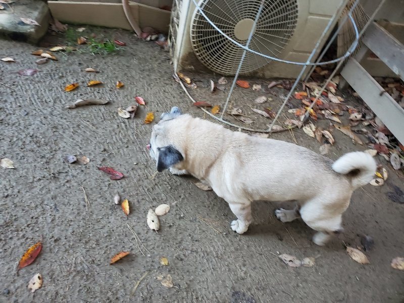 f:id:roukenhome-ann:20191129190030j:plain f:id:roukenhome-ann:20191129190030j:plain