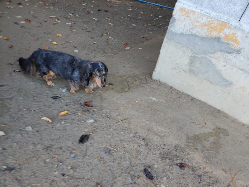 f:id:roukenhome-ann:20191129190042j:plain f:id:roukenhome-ann:20191129190042j:plain