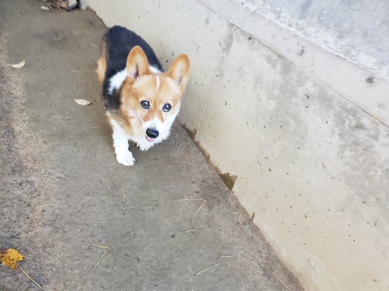 f:id:roukenhome-ann:20191129190049j:plain f:id:roukenhome-ann:20191129190049j:plain