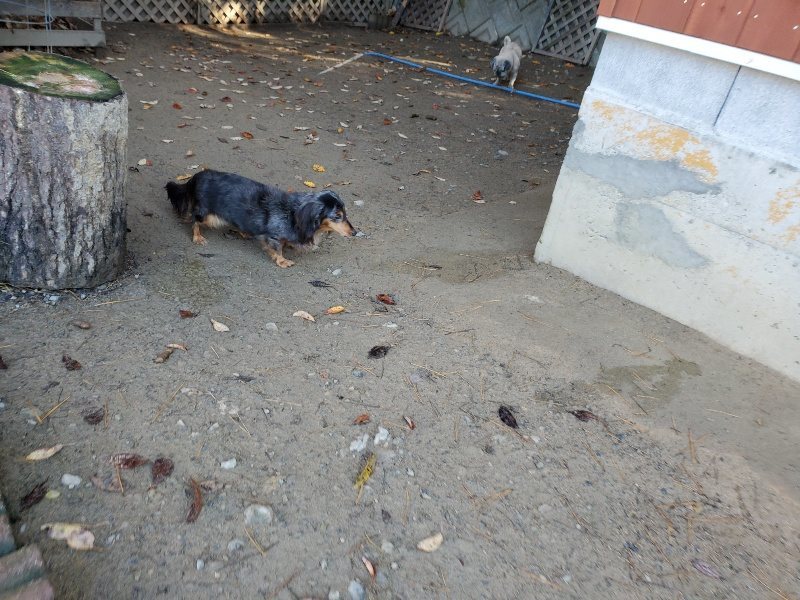 f:id:roukenhome-ann:20191129190111j:plain f:id:roukenhome-ann:20191129190111j:plain