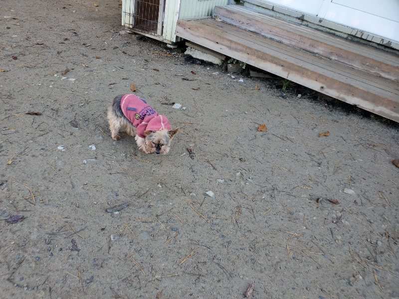 f:id:roukenhome-ann:20191129190205j:plain f:id:roukenhome-ann:20191129190205j:plain