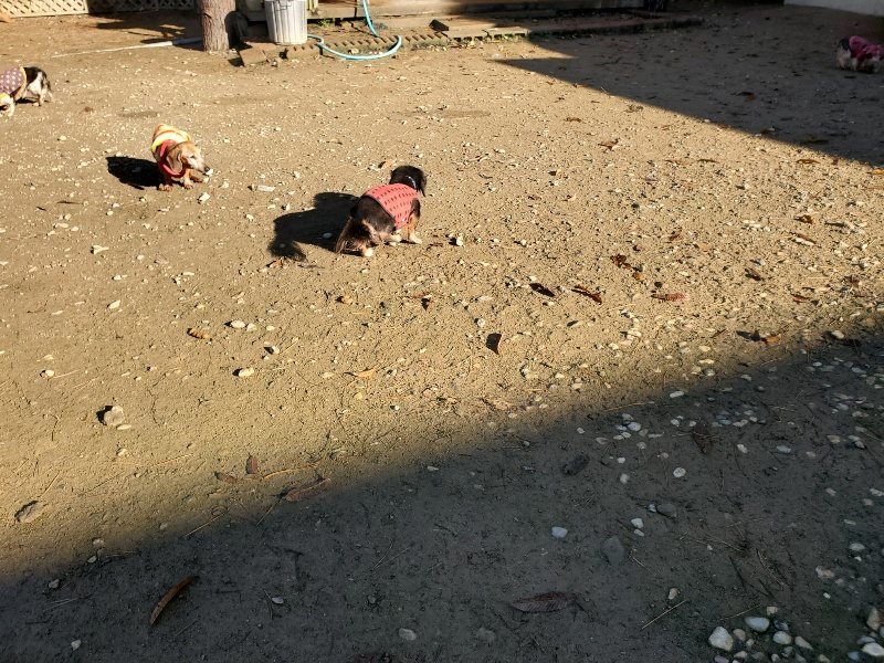 f:id:roukenhome-ann:20191129190310j:plain f:id:roukenhome-ann:20191129190310j:plain