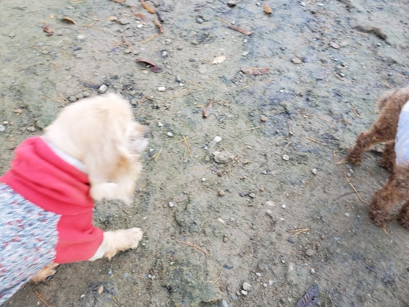 f:id:roukenhome-ann:20191129190328j:plain f:id:roukenhome-ann:20191129190328j:plain