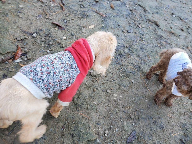 f:id:roukenhome-ann:20191129190339j:plain f:id:roukenhome-ann:20191129190339j:plain