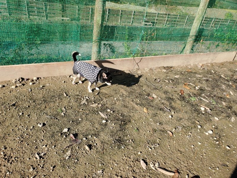 f:id:roukenhome-ann:20191129190544j:plain f:id:roukenhome-ann:20191129190544j:plain