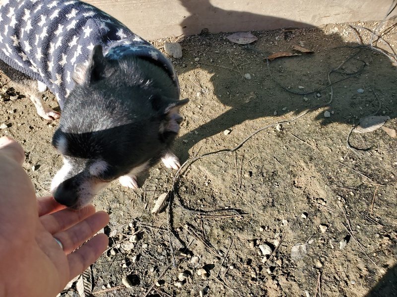 f:id:roukenhome-ann:20191129190558j:plain f:id:roukenhome-ann:20191129190558j:plain