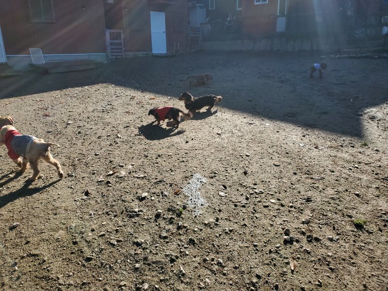 f:id:roukenhome-ann:20191129190654j:plain f:id:roukenhome-ann:20191129190654j:plain
