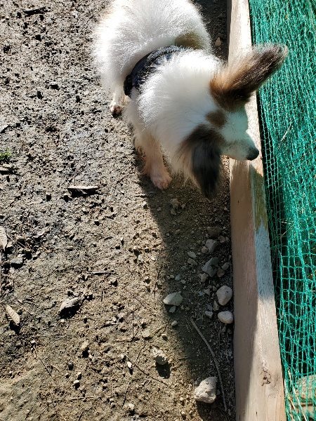f:id:roukenhome-ann:20191129190704j:plain f:id:roukenhome-ann:20191129190704j:plain