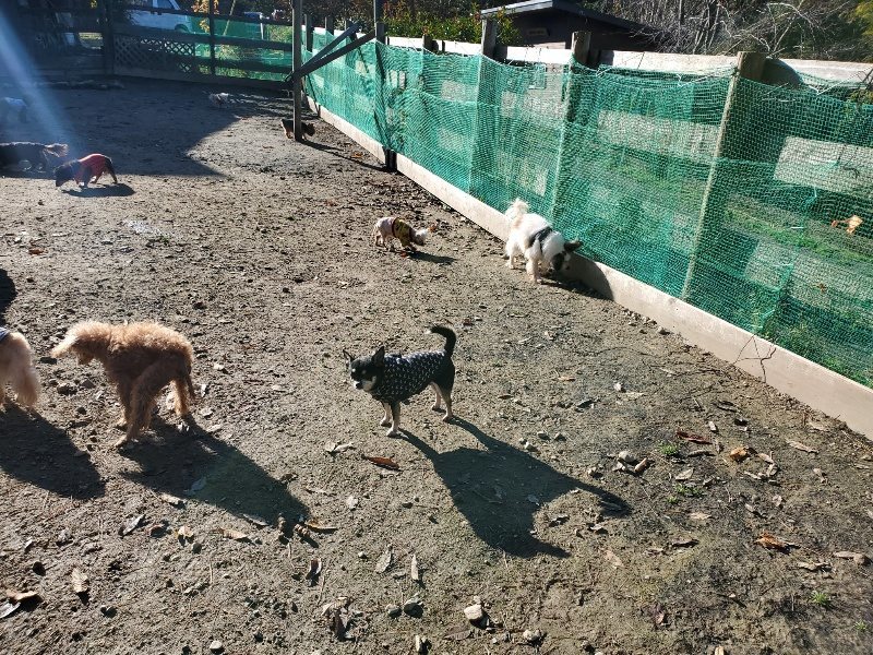 f:id:roukenhome-ann:20191129190826j:plain f:id:roukenhome-ann:20191129190826j:plain