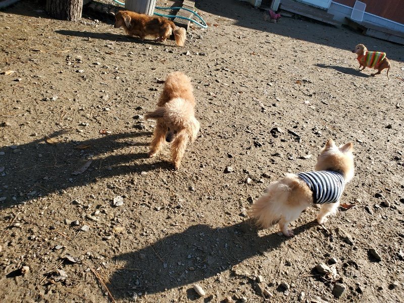 f:id:roukenhome-ann:20191129191019j:plain f:id:roukenhome-ann:20191129191019j:plain