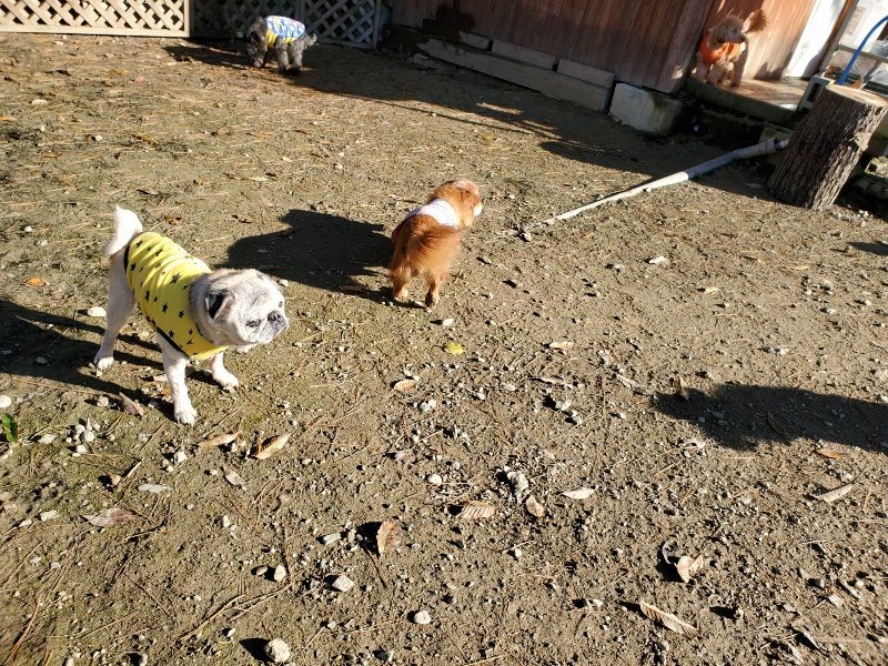 f:id:roukenhome-ann:20191129191123j:plain f:id:roukenhome-ann:20191129191123j:plain
