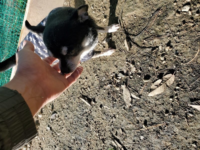 f:id:roukenhome-ann:20191129191140j:plain f:id:roukenhome-ann:20191129191140j:plain