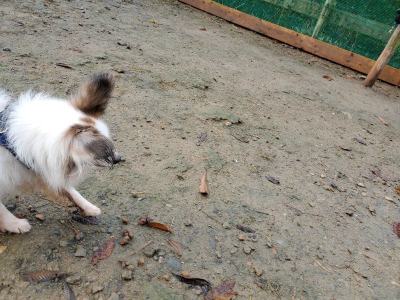f:id:roukenhome-ann:20191201071959j:plain