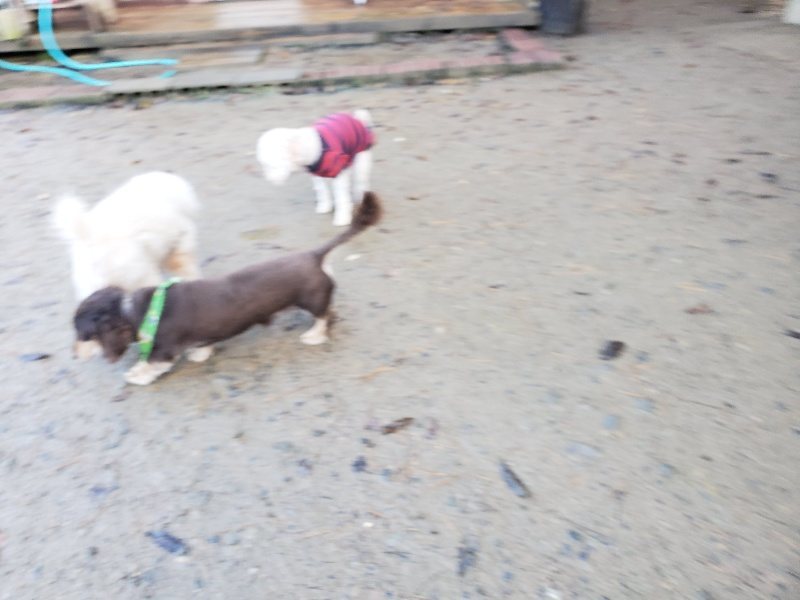 f:id:roukenhome-ann:20191201073350j:plain
