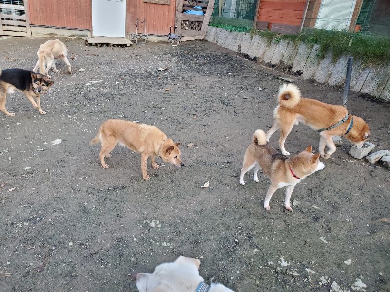 f:id:roukenhome-ann:20191202184829j:plain