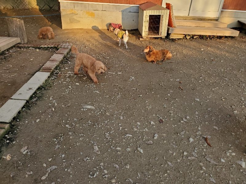 f:id:roukenhome-ann:20191202203904j:plain