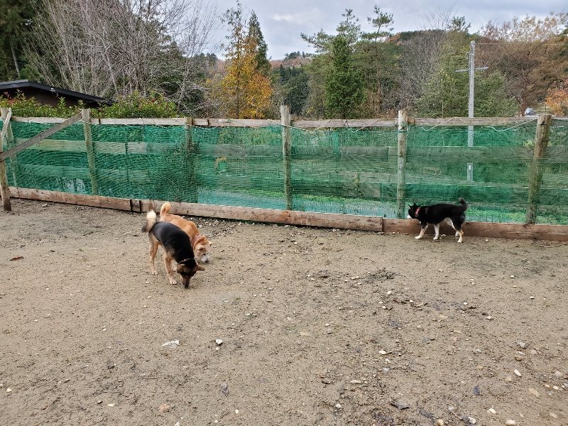 f:id:roukenhome-ann:20191203114800j:plain