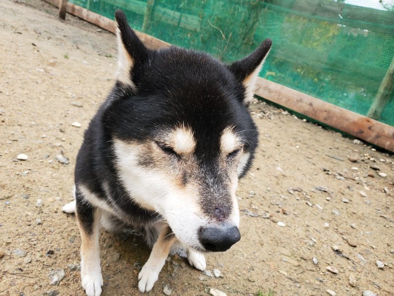 f:id:roukenhome-ann:20191203114813j:plain