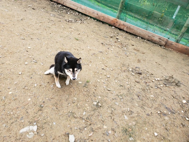 f:id:roukenhome-ann:20191203114831j:plain