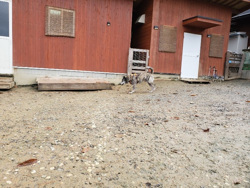 f:id:roukenhome-ann:20191203114900j:plain