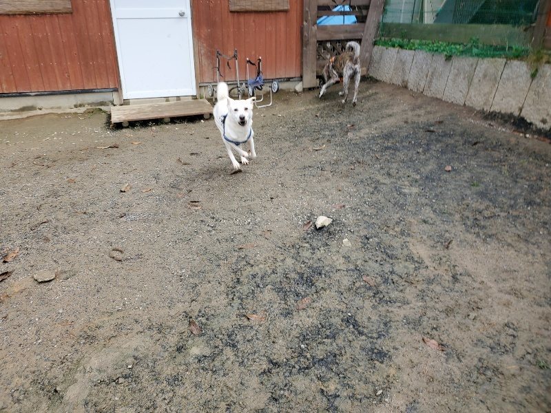 f:id:roukenhome-ann:20191203115018j:plain