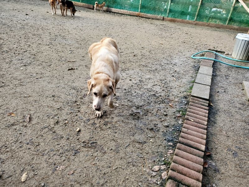 f:id:roukenhome-ann:20191203115058j:plain