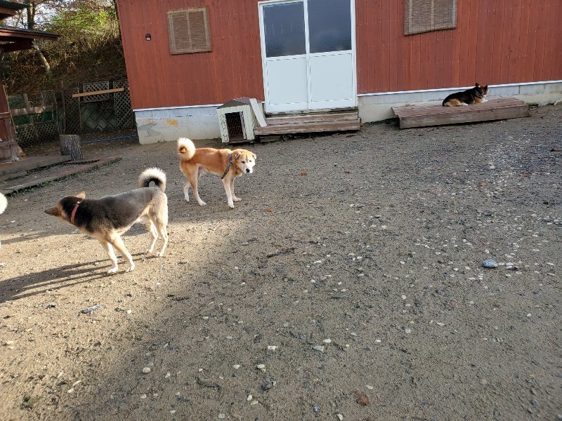 f:id:roukenhome-ann:20191203115155j:plain